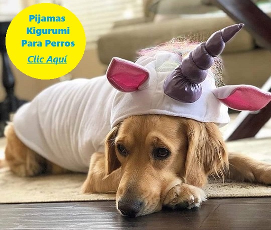 pijamas kigurumi para perros